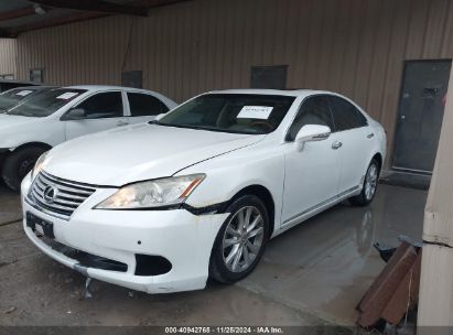 Lot #3034053391 2010 LEXUS ES 350