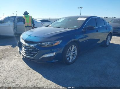 Lot #3034053803 2019 CHEVROLET MALIBU LT