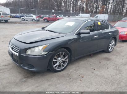 Lot #3052073999 2013 NISSAN MAXIMA 3.5 S