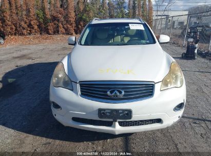 Lot #3037540503 2010 INFINITI EX35 JOURNEY