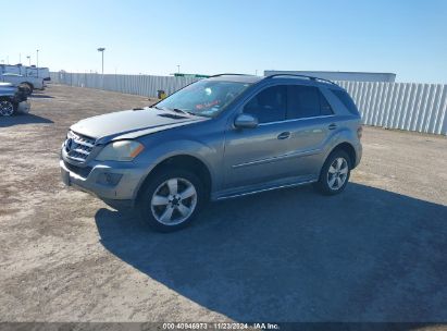 Lot #3035081780 2010 MERCEDES-BENZ ML 350 4MATIC