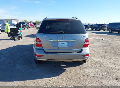 Lot #3035081780 2010 MERCEDES-BENZ ML 350 4MATIC