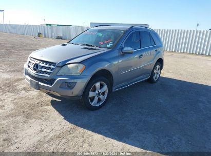 Lot #3035081780 2010 MERCEDES-BENZ ML 350 4MATIC