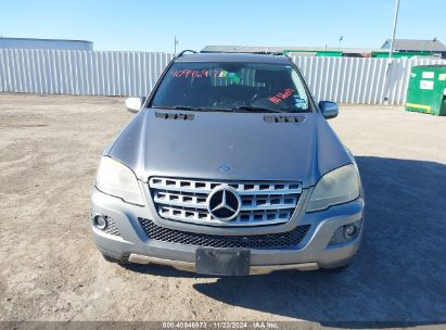 Lot #3035081780 2010 MERCEDES-BENZ ML 350 4MATIC