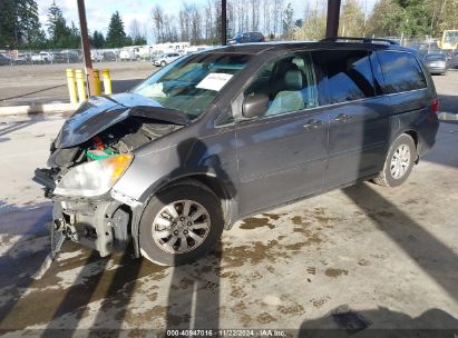 Lot #3035093240 2010 HONDA ODYSSEY EX