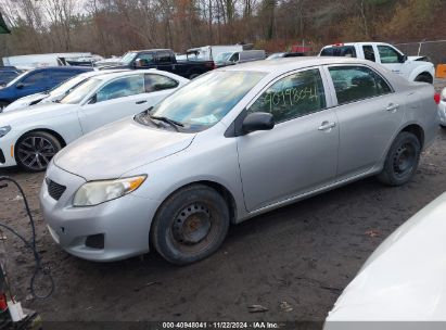 Lot #3035095648 2010 TOYOTA COROLLA