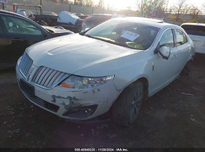 Lot #3034052629 2009 LINCOLN MKS