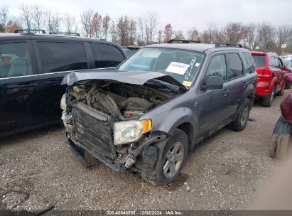 Lot #3034052595 2008 FORD ESCAPE HYBRID