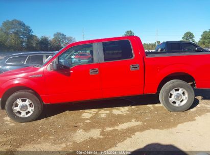 Lot #3033210616 2009 FORD F-150 XL/XLT