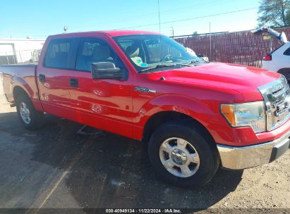 Lot #3033210616 2009 FORD F-150 XL/XLT