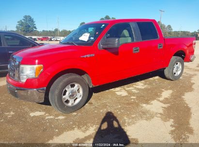 Lot #3033210616 2009 FORD F-150 XL/XLT