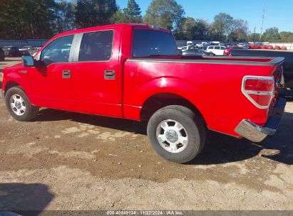 Lot #3033210616 2009 FORD F-150 XL/XLT