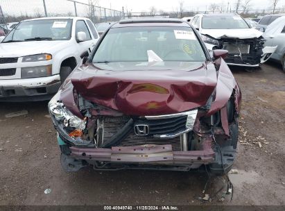 Lot #3034052675 2008 HONDA ACCORD 3.5 EX-L