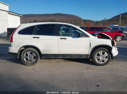 Lot #3032344008 2010 HONDA CR-V EX