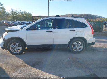 Lot #3032344008 2010 HONDA CR-V EX