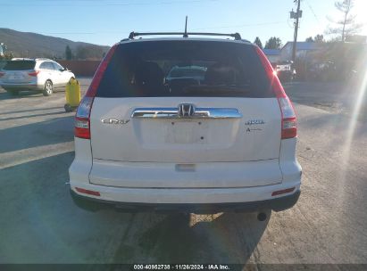 Lot #3032344008 2010 HONDA CR-V EX