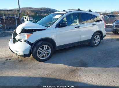 Lot #3032344008 2010 HONDA CR-V EX