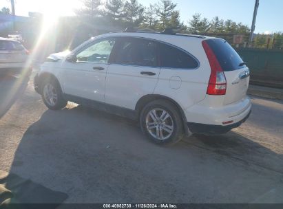 Lot #3032344008 2010 HONDA CR-V EX