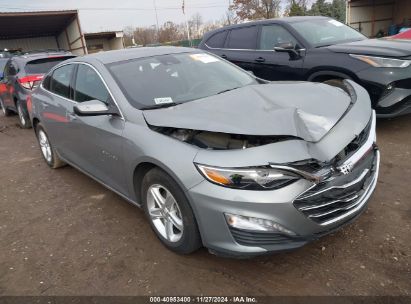 Lot #3037540346 2023 CHEVROLET MALIBU FWD 1LT