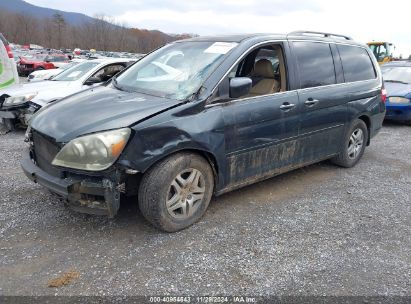 Lot #3052074137 2006 HONDA ODYSSEY EX-L