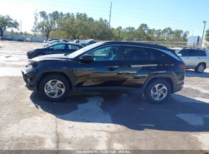 Lot #3034052430 2024 HYUNDAI TUCSON SEL