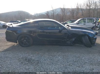 Lot #3052074092 2013 FORD MUSTANG GT