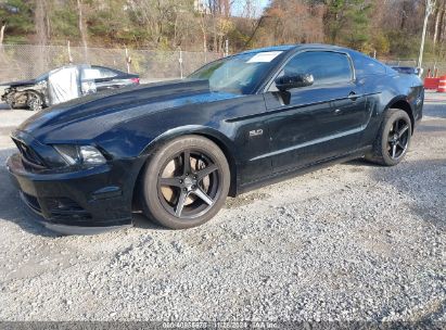 Lot #3052074092 2013 FORD MUSTANG GT