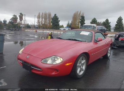 Lot #3037532176 1999 JAGUAR XK8