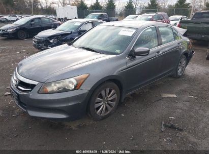 Lot #3052074142 2011 HONDA ACCORD 2.4 EX