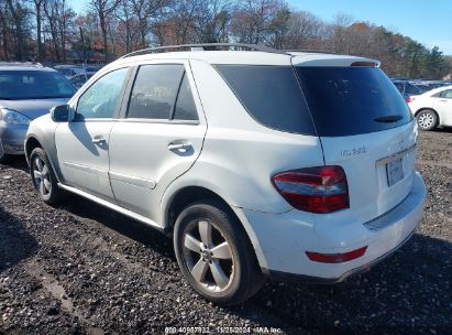 Lot #3045352840 2009 MERCEDES-BENZ ML 350 4MATIC