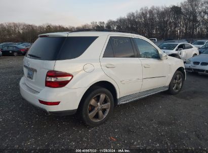 Lot #3045352839 2011 MERCEDES-BENZ ML 350