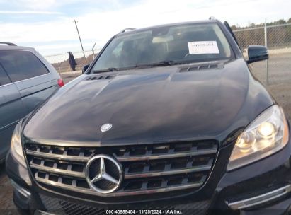 Lot #3049469691 2015 MERCEDES-BENZ ML 350