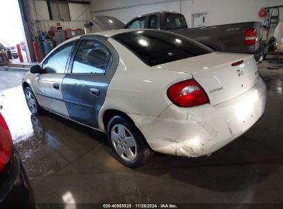 Lot #3037529510 2004 DODGE NEON SE