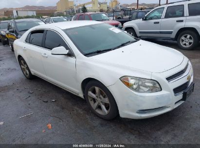 Lot #3054262482 2011 CHEVROLET MALIBU 1LT