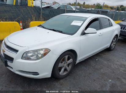 Lot #3054262482 2011 CHEVROLET MALIBU 1LT