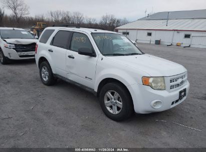 Lot #3037529499 2009 FORD ESCAPE HYBRID LIMITED