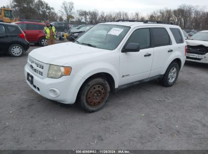 Lot #3037529499 2009 FORD ESCAPE HYBRID LIMITED