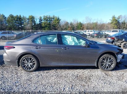 Lot #3037540011 2024 TOYOTA CAMRY HYBRID XLE