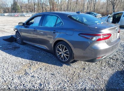 Lot #3037540011 2024 TOYOTA CAMRY HYBRID XLE