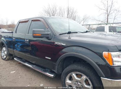 Lot #3052080522 2013 FORD F-150 XLT