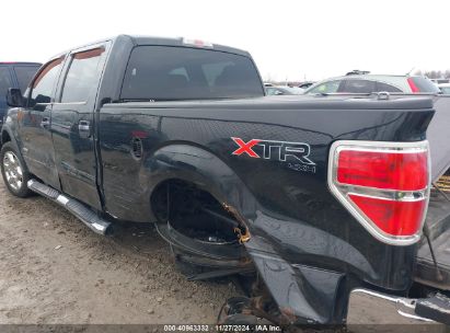 Lot #3052080522 2013 FORD F-150 XLT