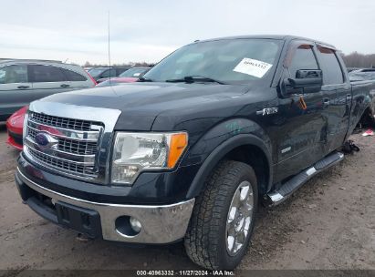 Lot #3052080522 2013 FORD F-150 XLT