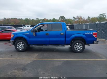 Lot #3034052893 2014 FORD F-150 XLT