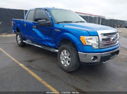 Lot #3034052893 2014 FORD F-150 XLT