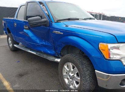 Lot #3034052893 2014 FORD F-150 XLT