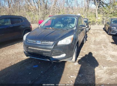 Lot #3021946111 2013 FORD ESCAPE SEL