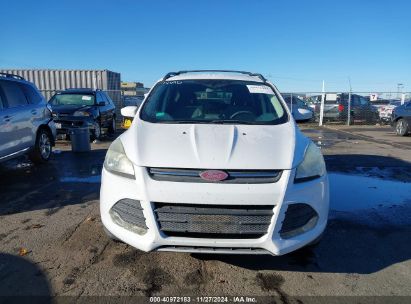 Lot #3035093273 2014 FORD ESCAPE SE