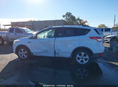 Lot #3035093273 2014 FORD ESCAPE SE