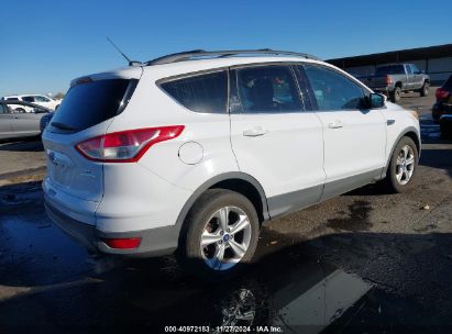 Lot #3035093273 2014 FORD ESCAPE SE