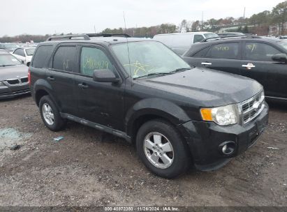 Lot #3045352020 2012 FORD ESCAPE XLT